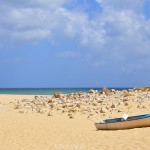 Westalgarve near Sagres