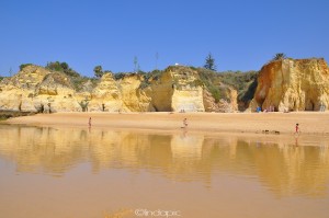 Armacao: low tide