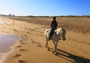 Horseriding near Armacao